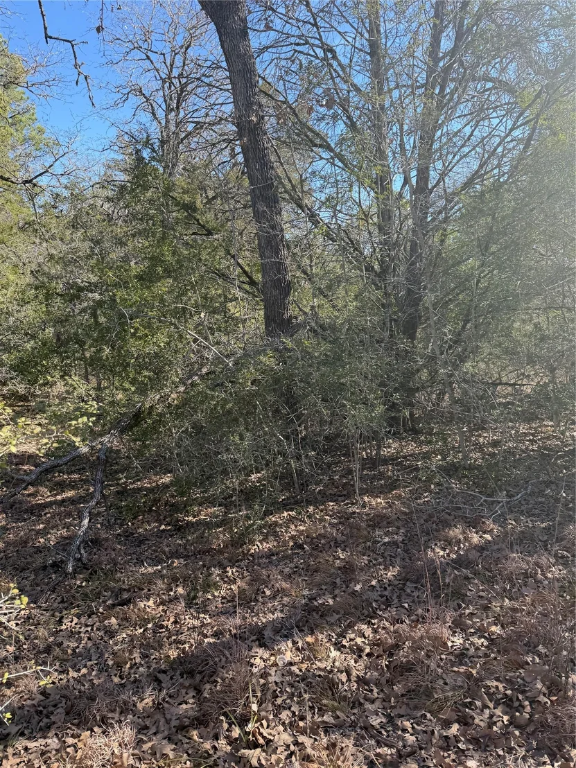 Photo of Lot 110 Wailupe CIR