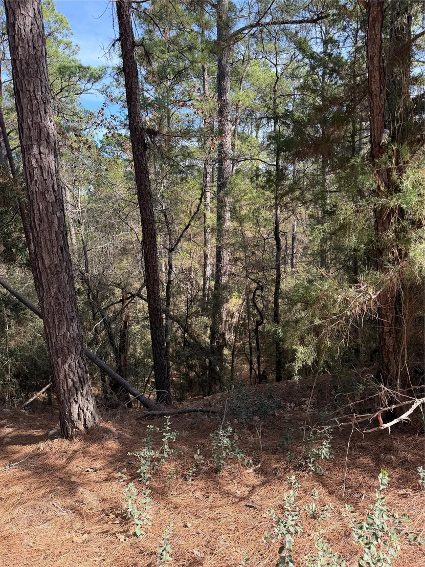 Photo of Lot 266 Wainee DR