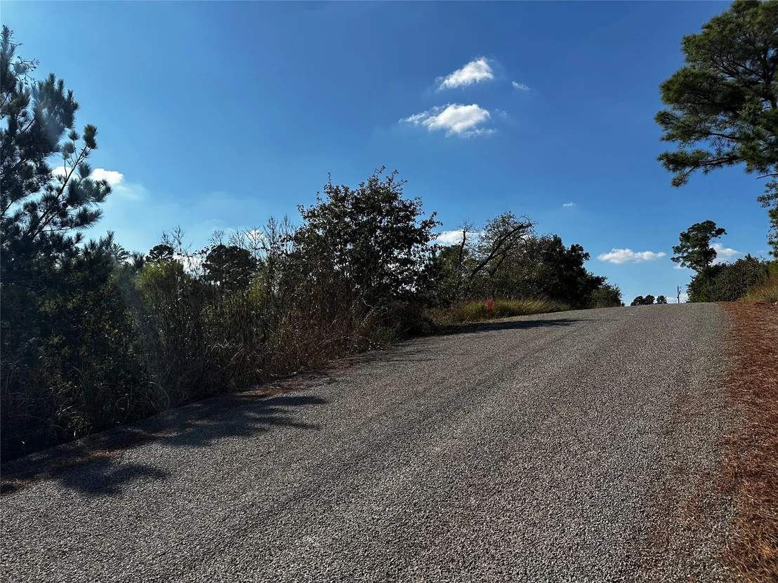 Photo of Lot 89 Aloha LN