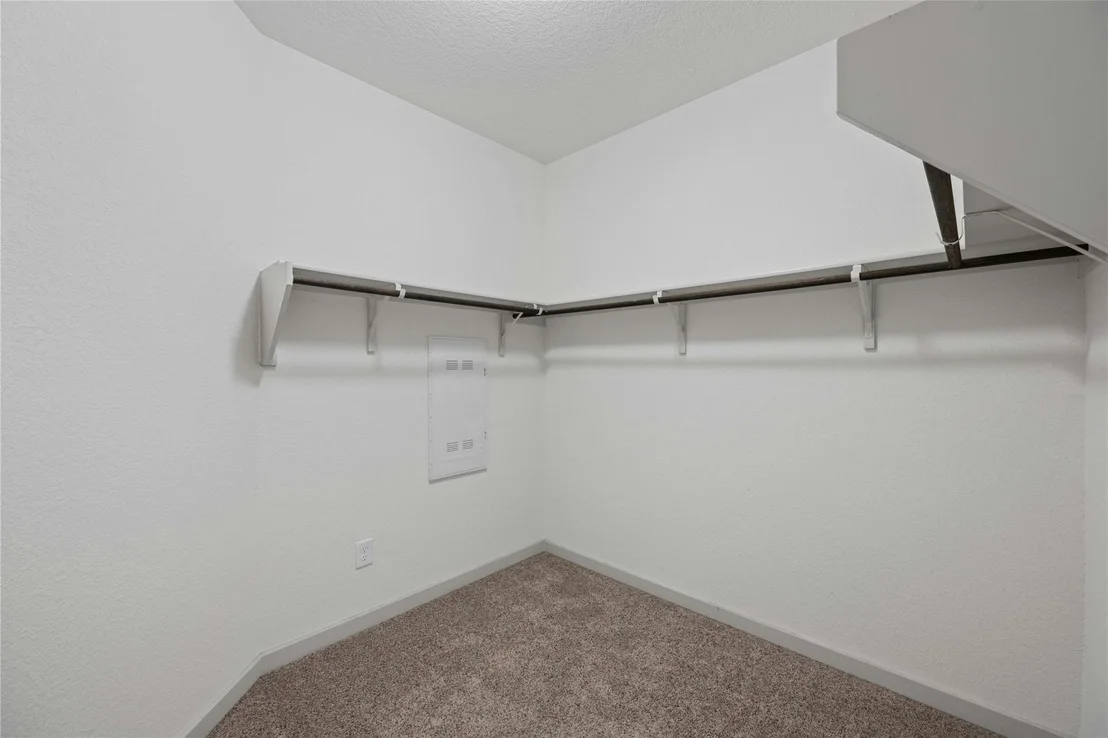 Photo of 141 Parryi CV