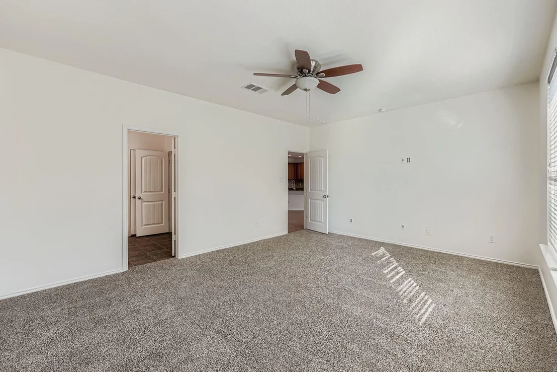Photo of 901 Water Hyacinth LOOP