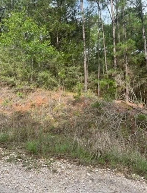 Photo of Lot 345 Wainee DR