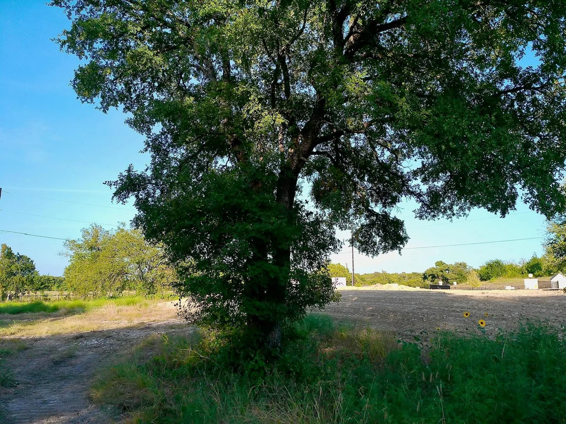 Photo of 100 Serenity DR