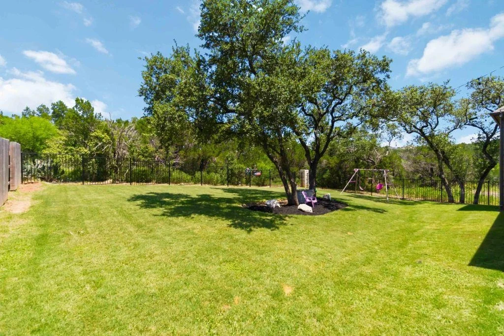 Photo of 333 Knockout Rose DR