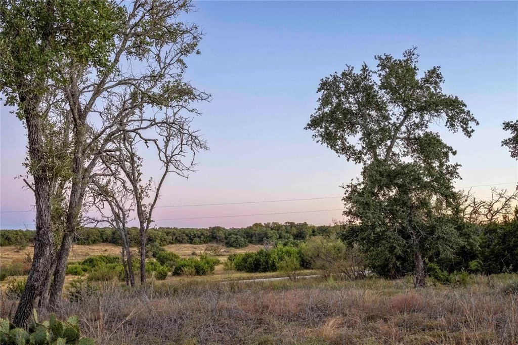 Photo of Lot 69 Mourning Dove LN