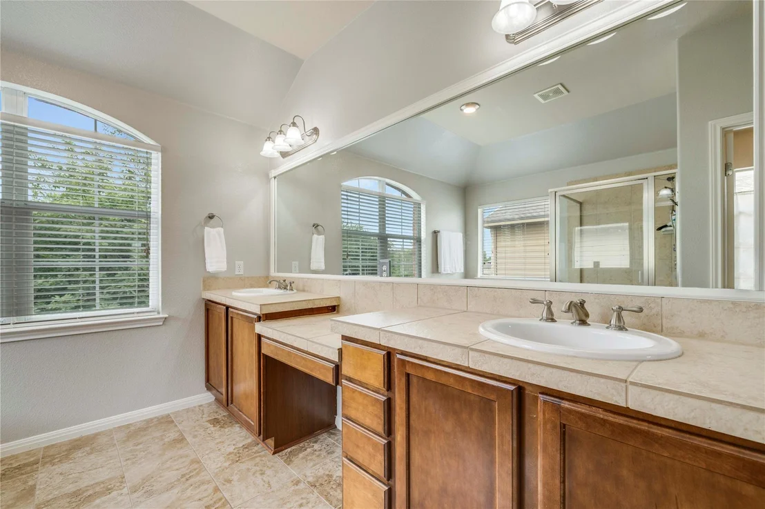 Photo of 1103 Snow Goose
