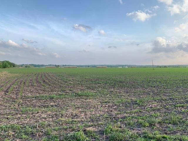 Photo of Tract 3 County Road 425