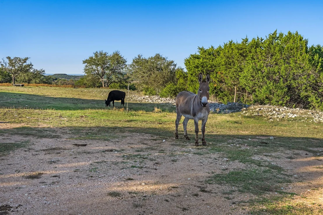 Photo of 4237 County Road 330 RD