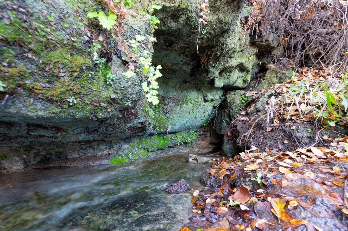 Photo of 000 River RUN