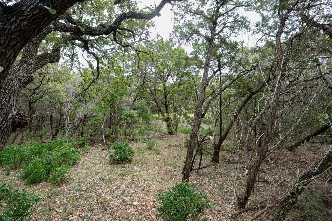 Photo of 101 Blanco River Ranch