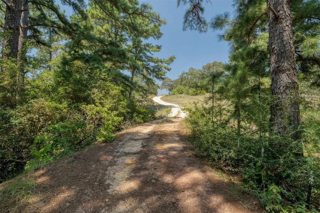 Photo of 234 Sandy RD