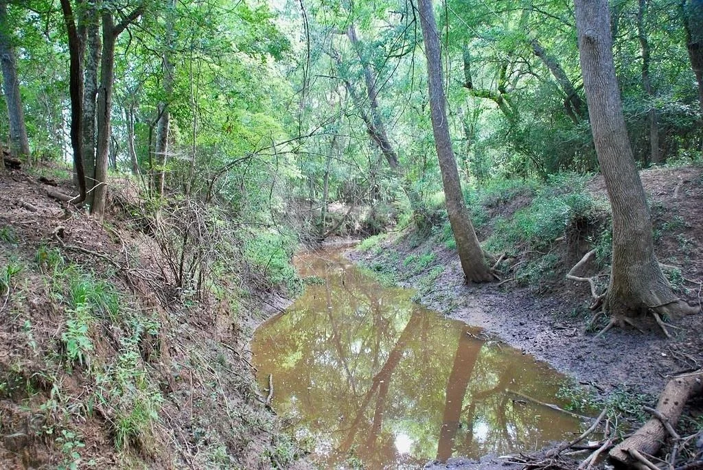 Photo of 9590 Maynard Hallmark RD