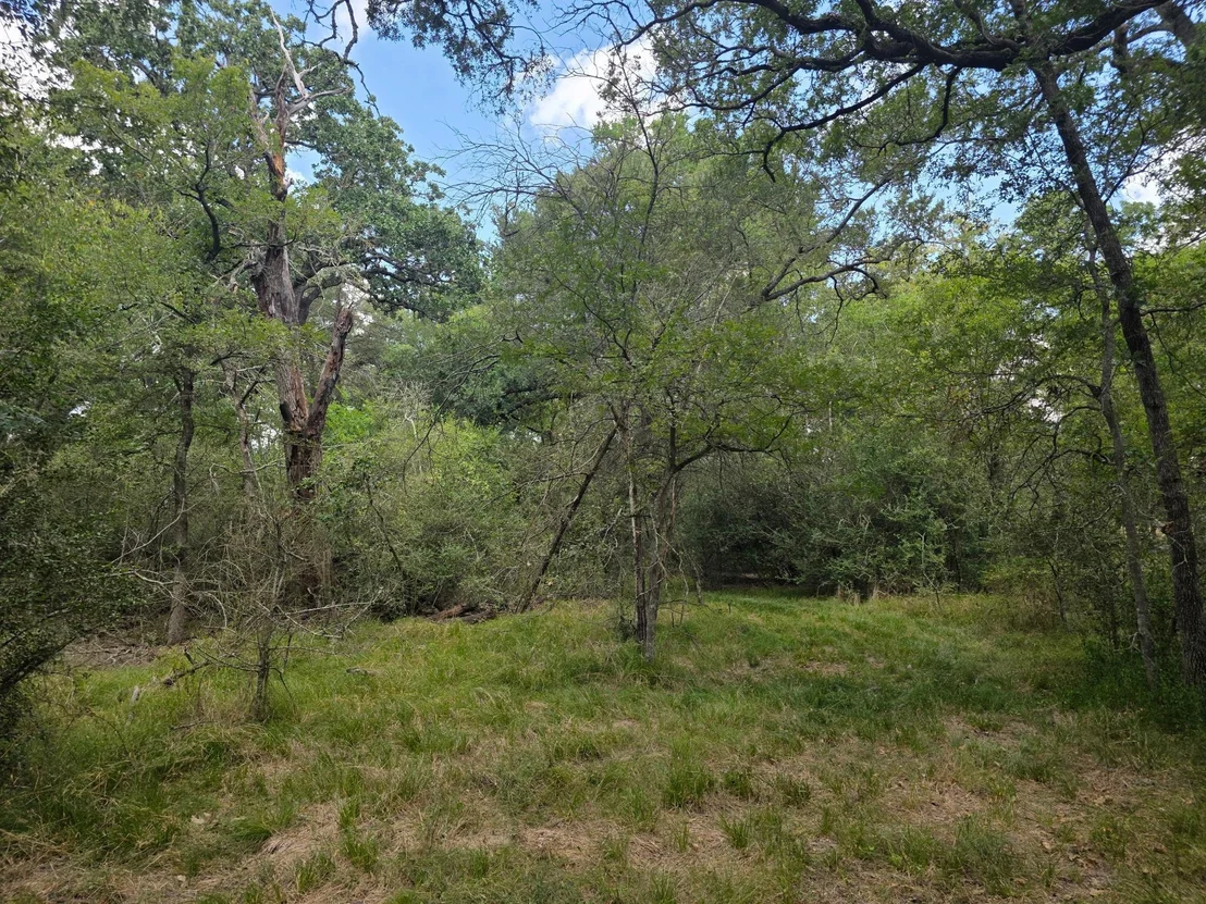 Photo of 11305 Cooper LN