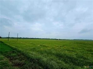 Photo of TBD CR 337