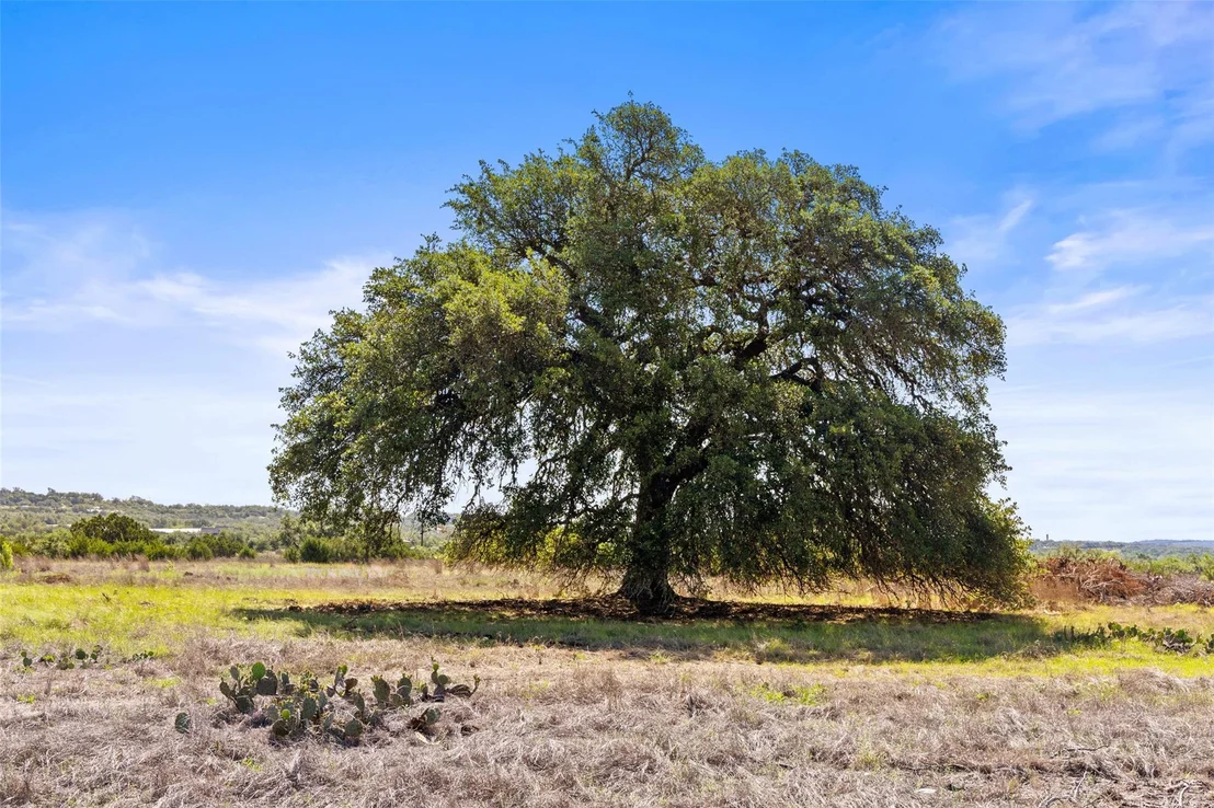 Photo of 6590 US 290