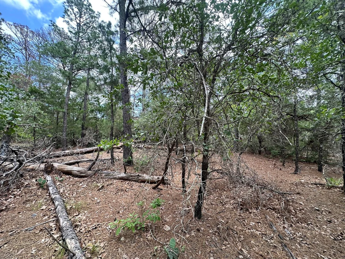 Photo of 217 Helemano DR