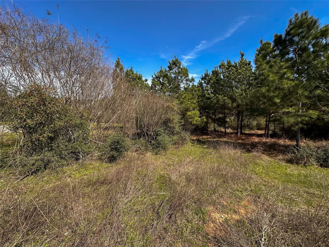 Photo of 161 Alele DR