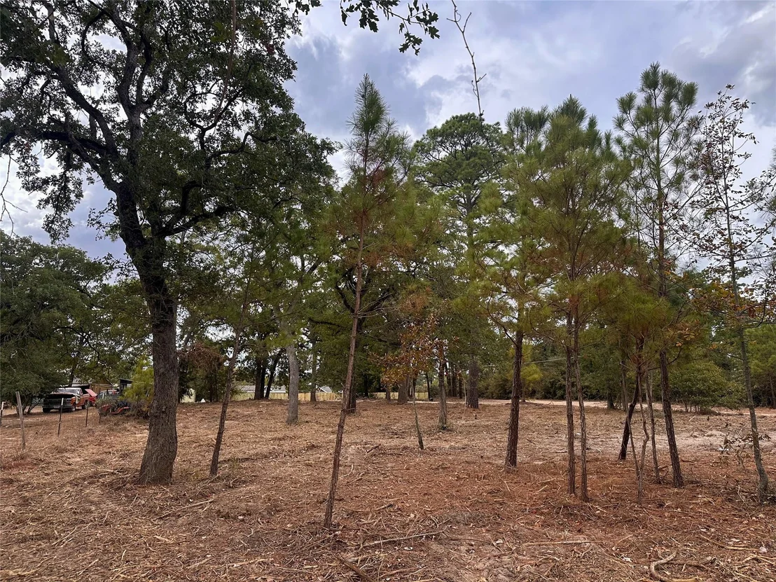 Photo of 287 Pine Hill LOOP