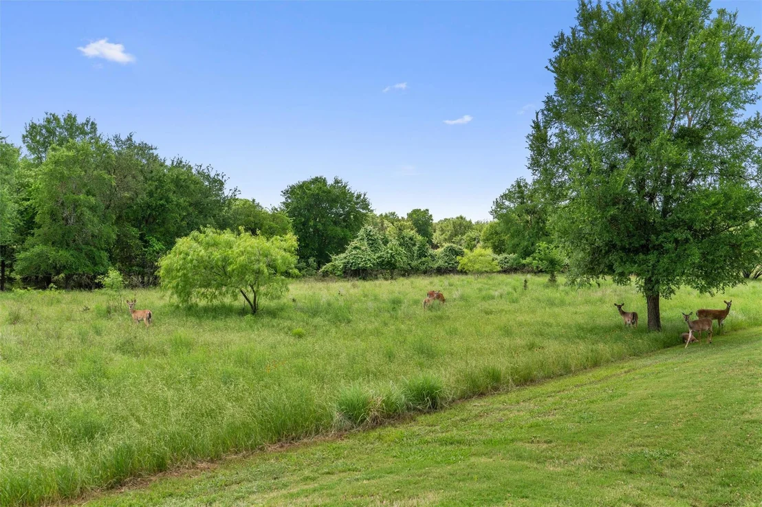 Photo of 233 Crockett LOOP