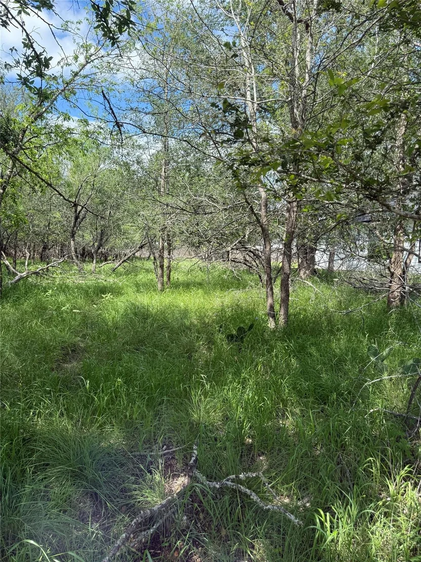 Photo of Lot 200 Nene LN
