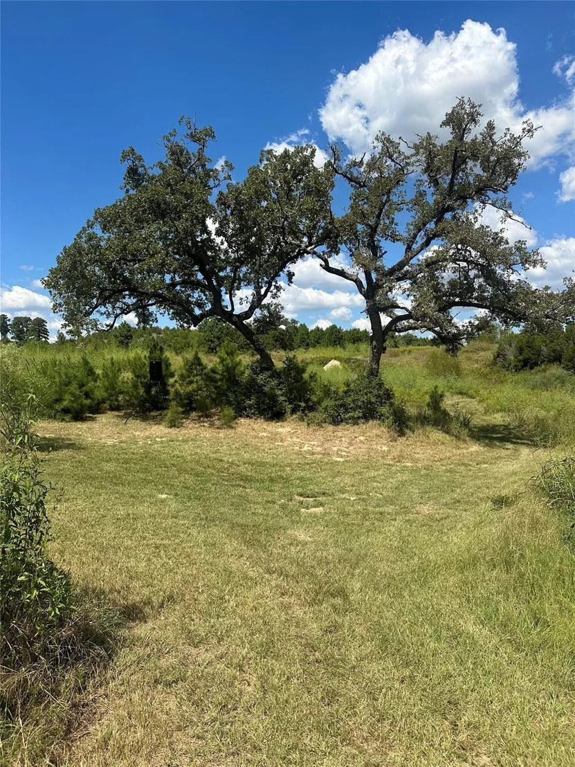 Photo of 210 Long TRL