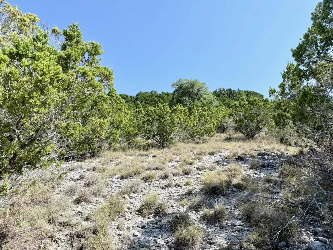 Photo of Lot 136 Spring Hollow DR