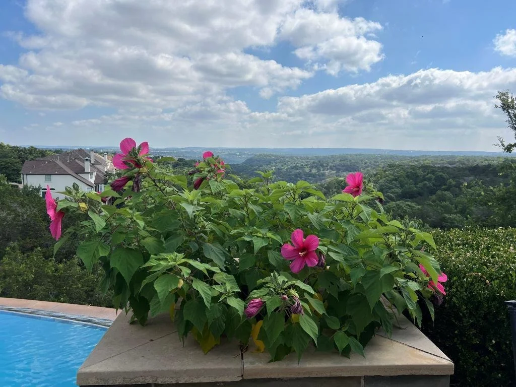 Photo of 10601 Pointe View DR