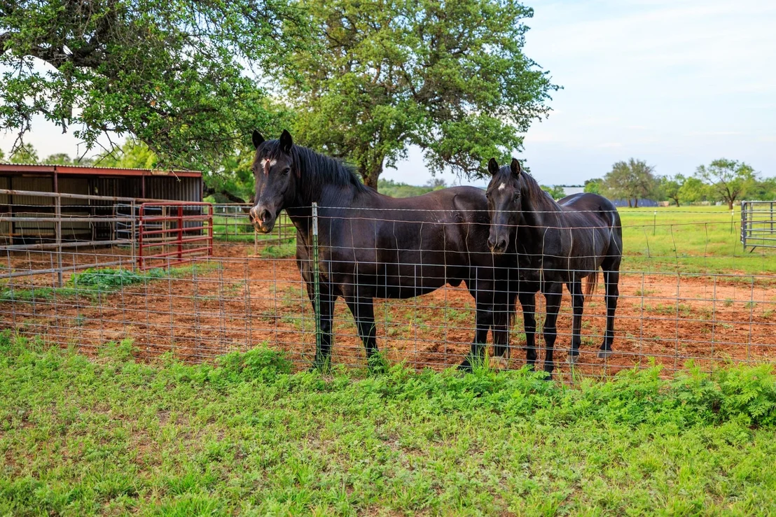 Photo of 3724 Ranch Road 3347