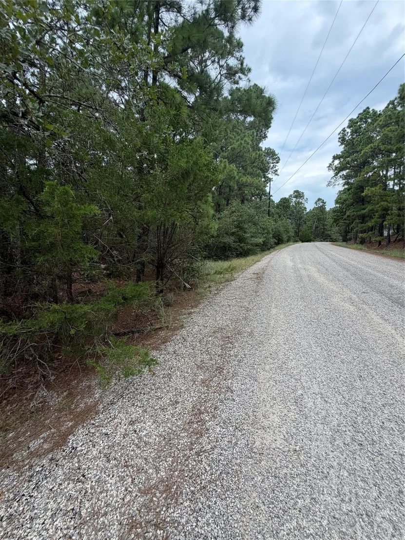 Photo of Lot 217 Hekili DR