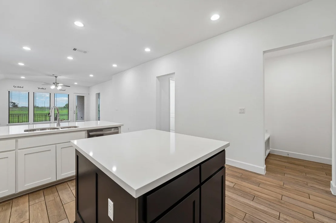 Photo of 133 Plumbago LOOP