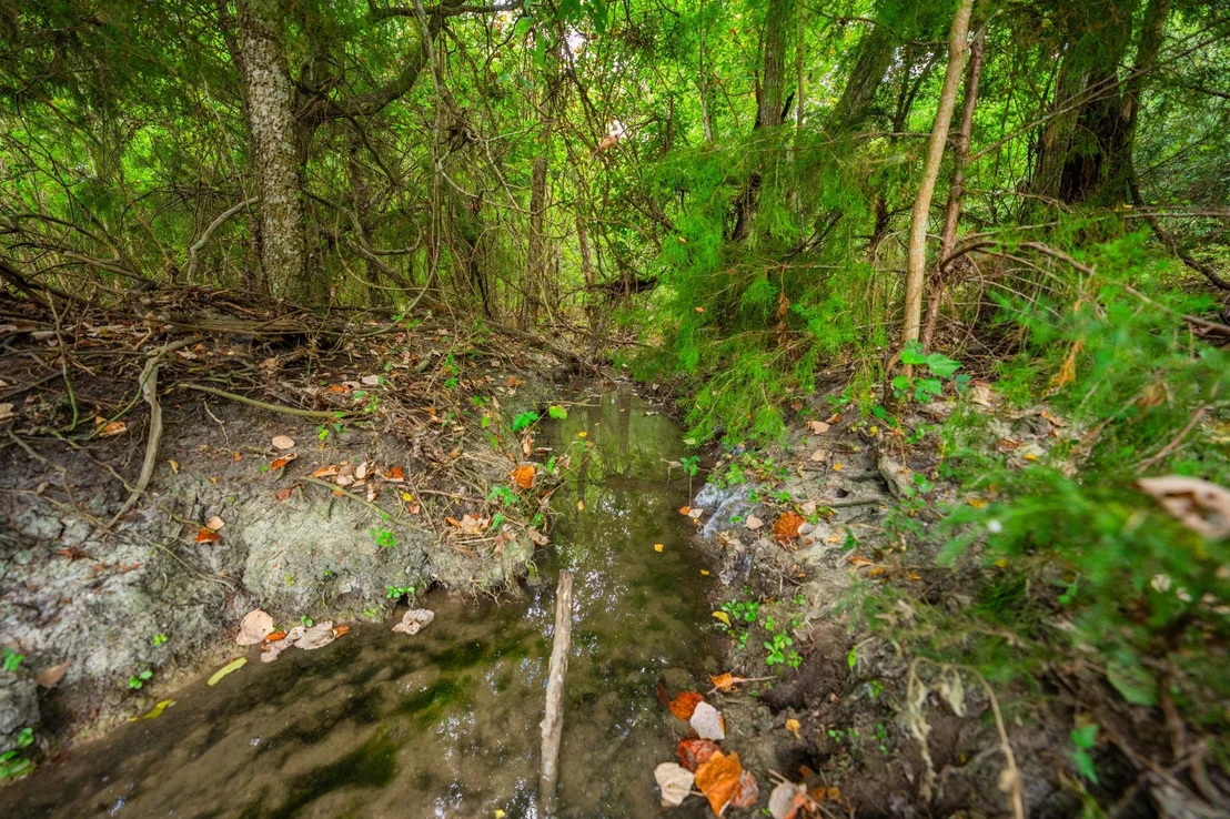 Photo of 777 County Road 206