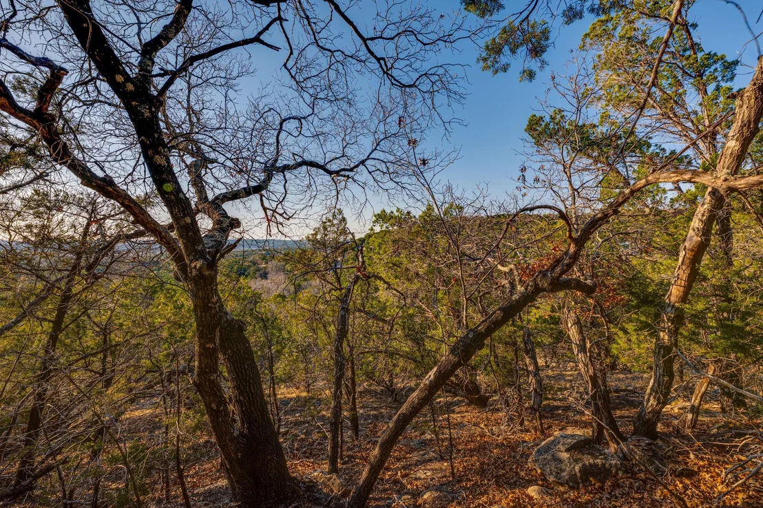 Photo of 7020 Live Oak DR