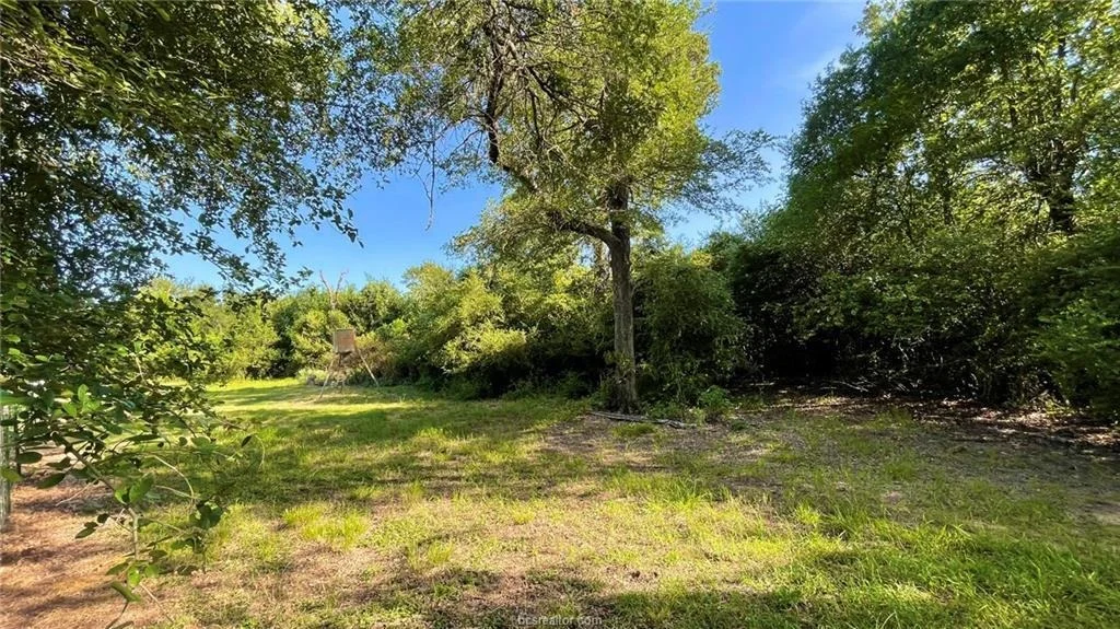Photo of 750 County Rd 206A (15.5 Acres)