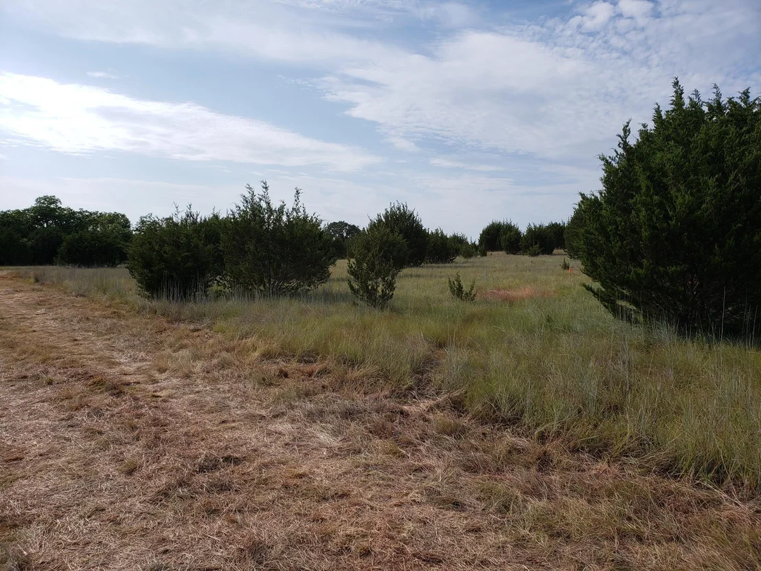 Photo of Lot 44 County Road 3640