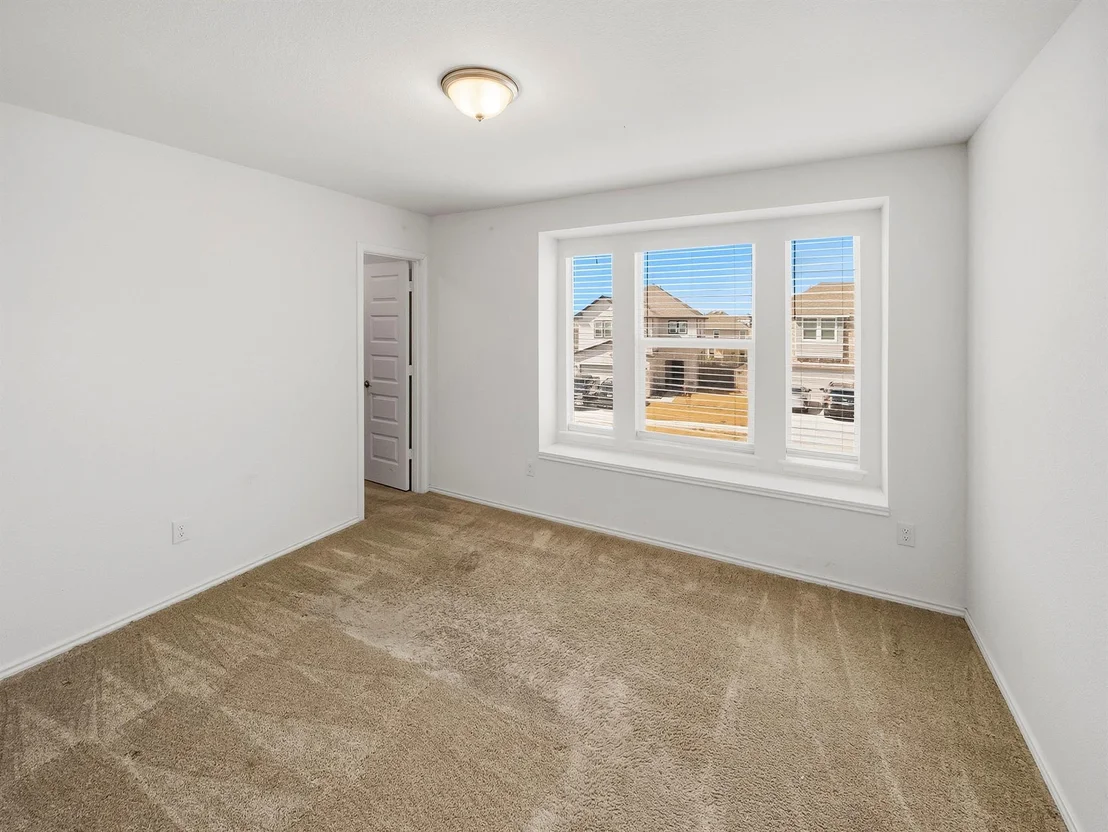 Photo of 101 Clematis CT