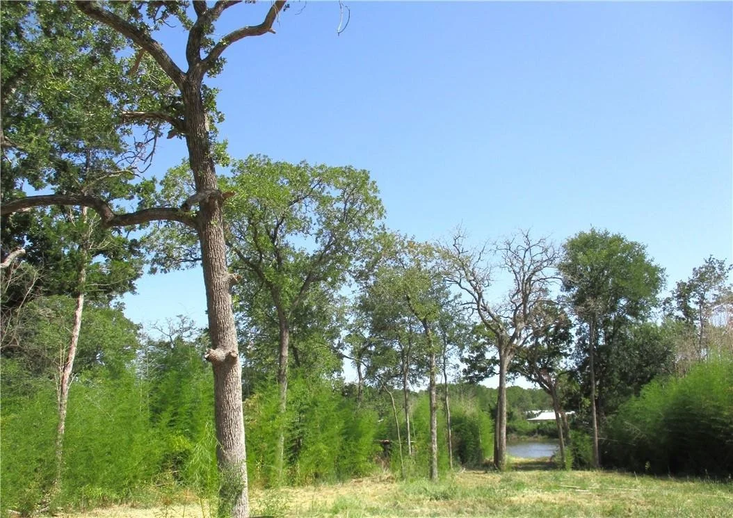 Photo of Lot 37 Moccasin Bend DR