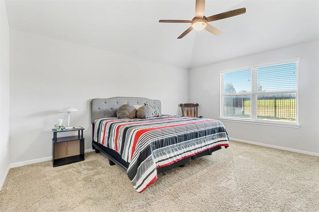 Photo of 1512 Daylily LOOP
