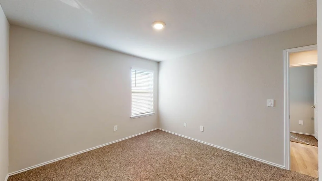 Photo of 536 Hector LOOP
