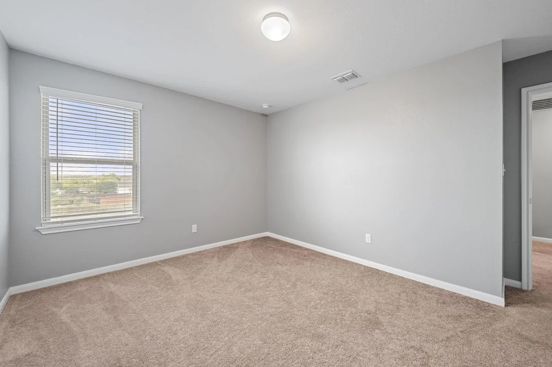 Photo of 436 Spinnaker LOOP