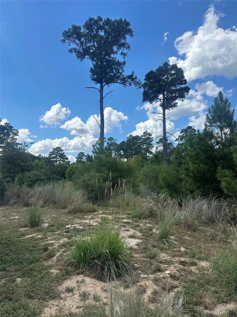 Photo of 210 Long TRL