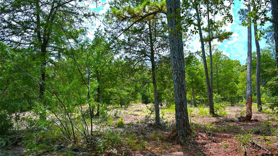 Photo of TBD Modock DR