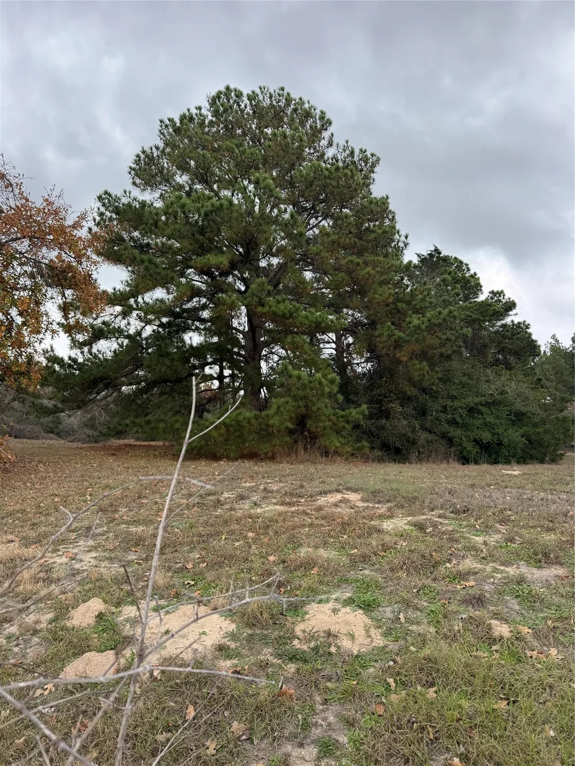 Photo of Lot 7 Cool Water DR