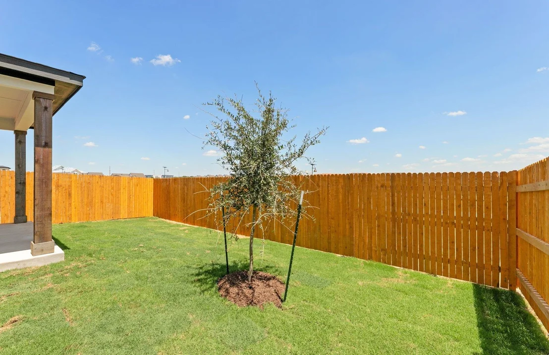 Photo of 5210 Monarda Mint DR