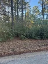 Photo of 107 Lake Point WAY