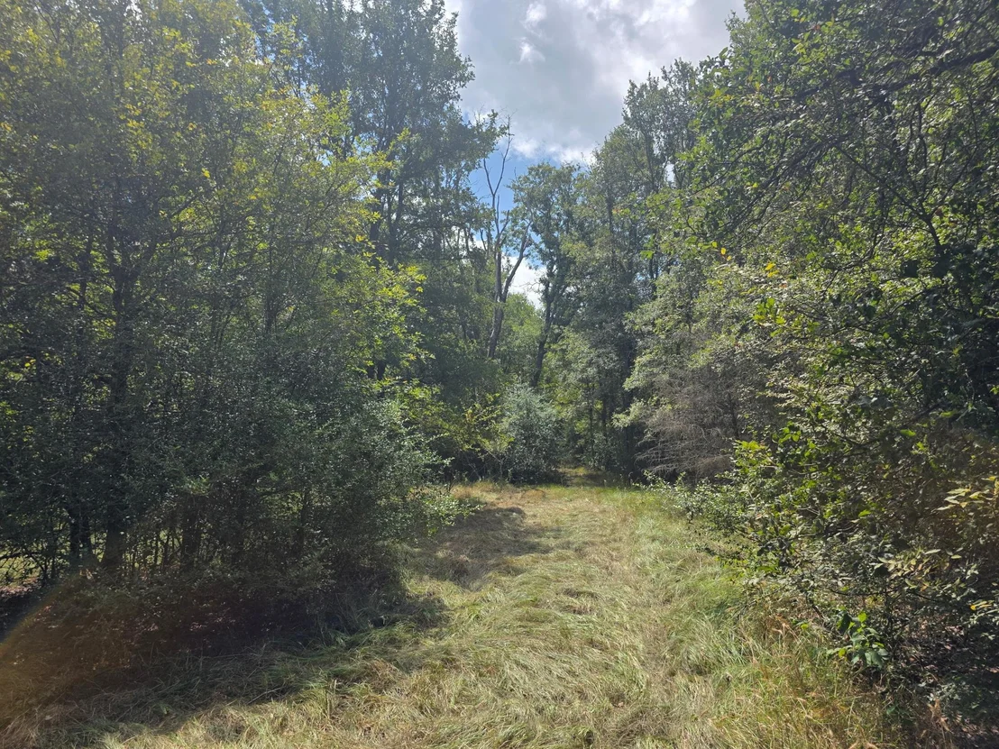 Photo of 11305 Cooper LN