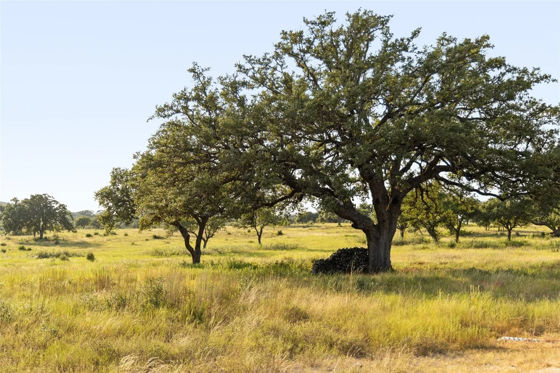 Photo of 8577 Ranch Road 2766