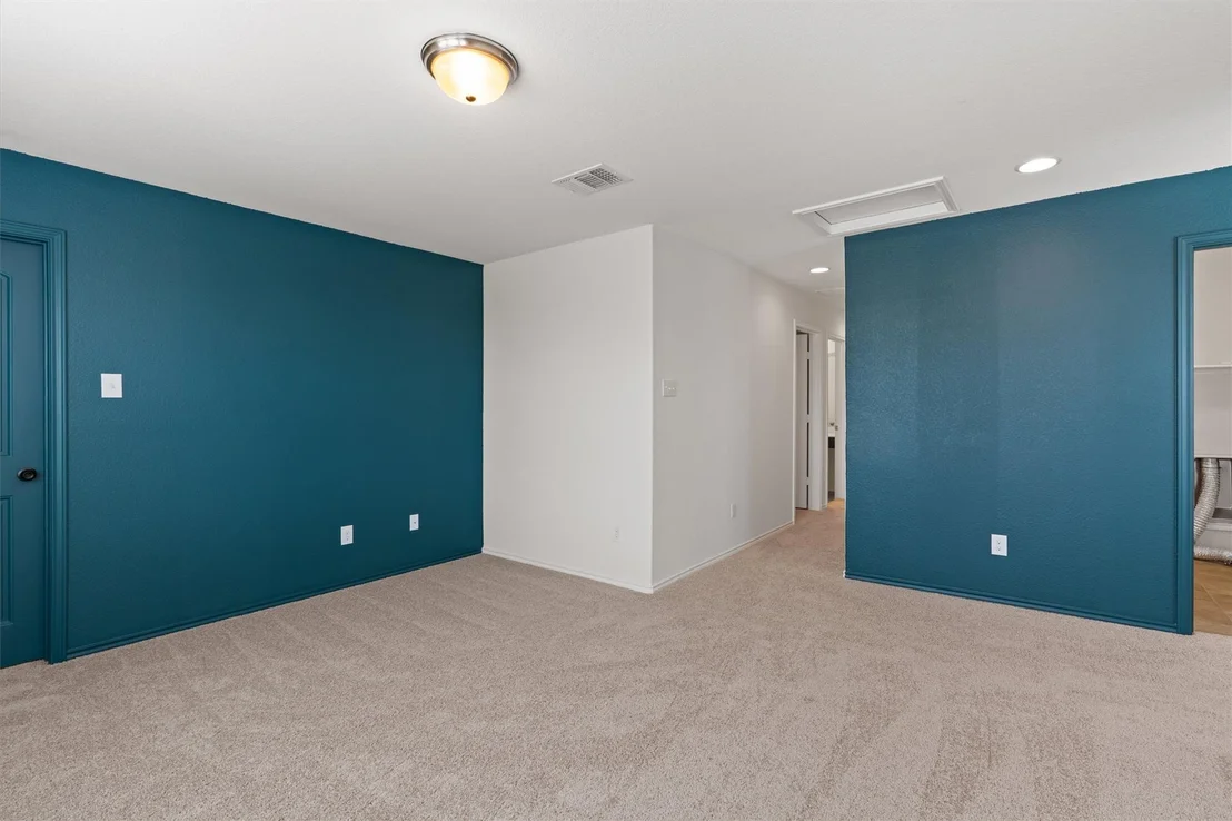 Photo of 804 Water Hyacinth LOOP