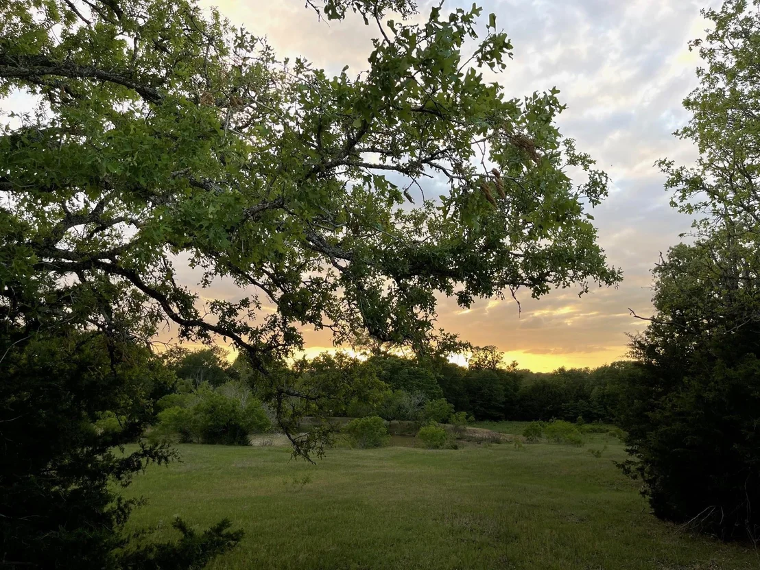 Photo of 4514 County Road 328