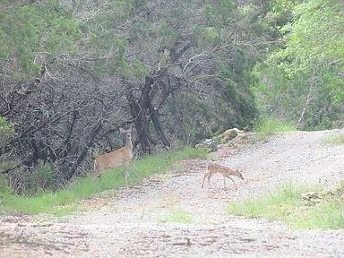 Photo of 350 Bluff RD