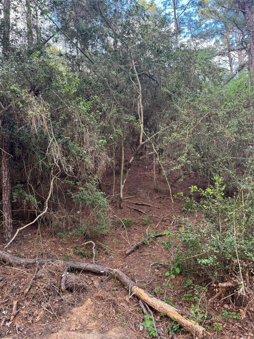 Photo of Lots 158 and 159 Hekili DR